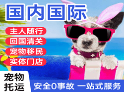 福州长乐航空快递国际宠物托运 【国